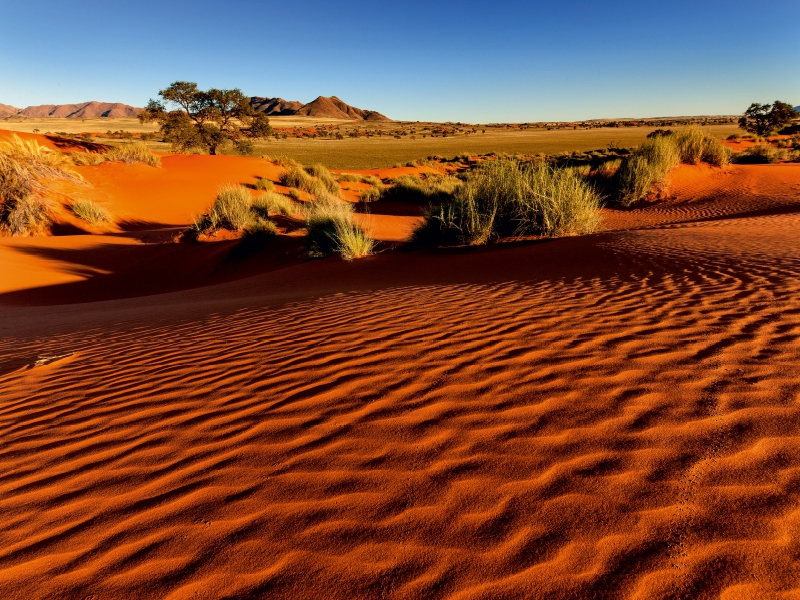 Morgenlicht in der Namib-Wüste in der Sossusvlei