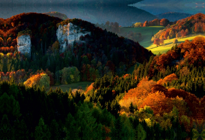 Herbstfarben im Jura (Schweiz)