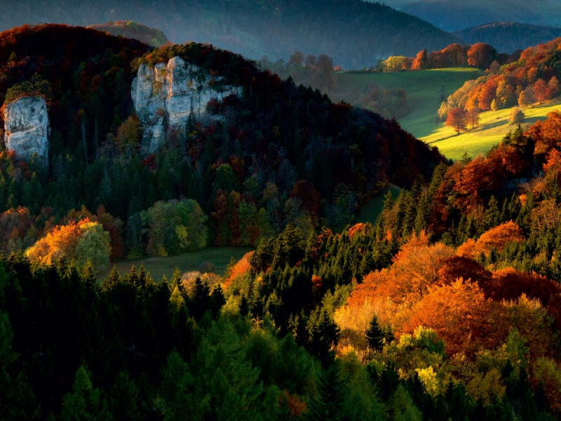 Herbstfarben im Jura (Schweiz)