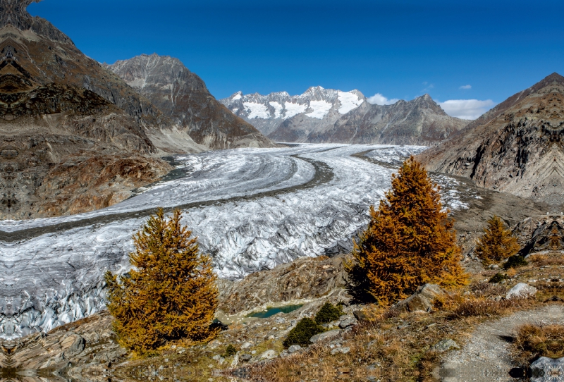 Herbst am Aletschgletscher in der Schweiz