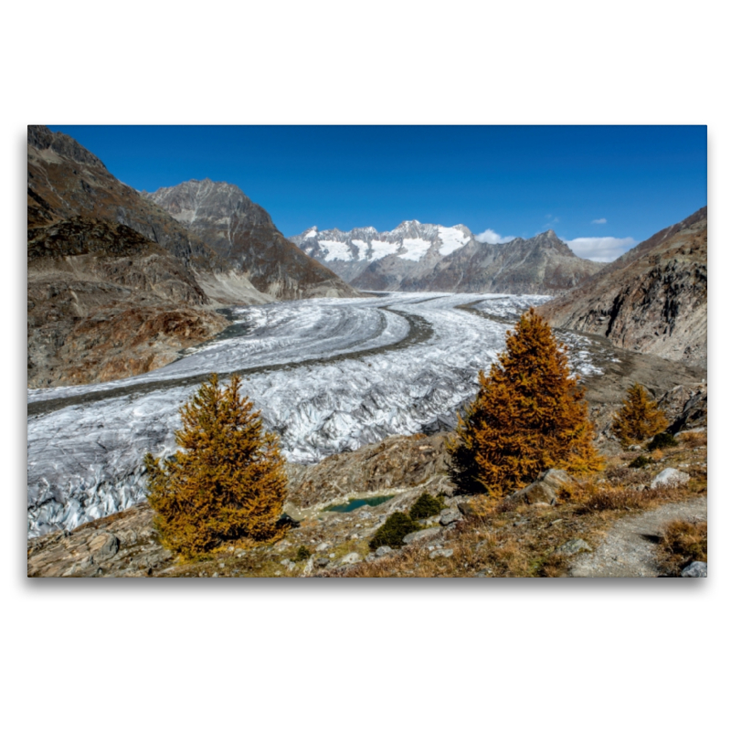 Herbst am Aletschgletscher in der Schweiz