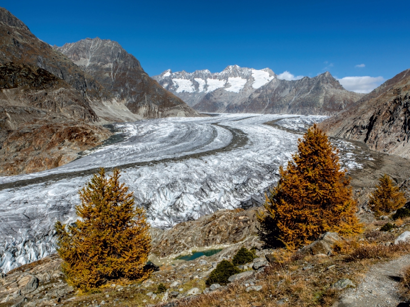 Herbst am Aletschgletscher in der Schweiz