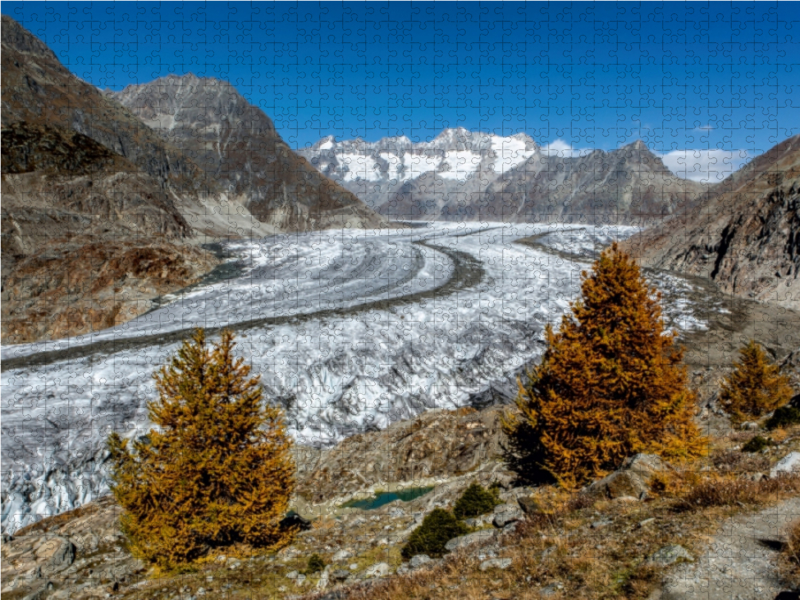 Herbst am Aletschgletscher in der Schweiz