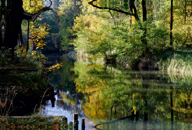 Goldener Oktober am Theodor-Fontane-Weg