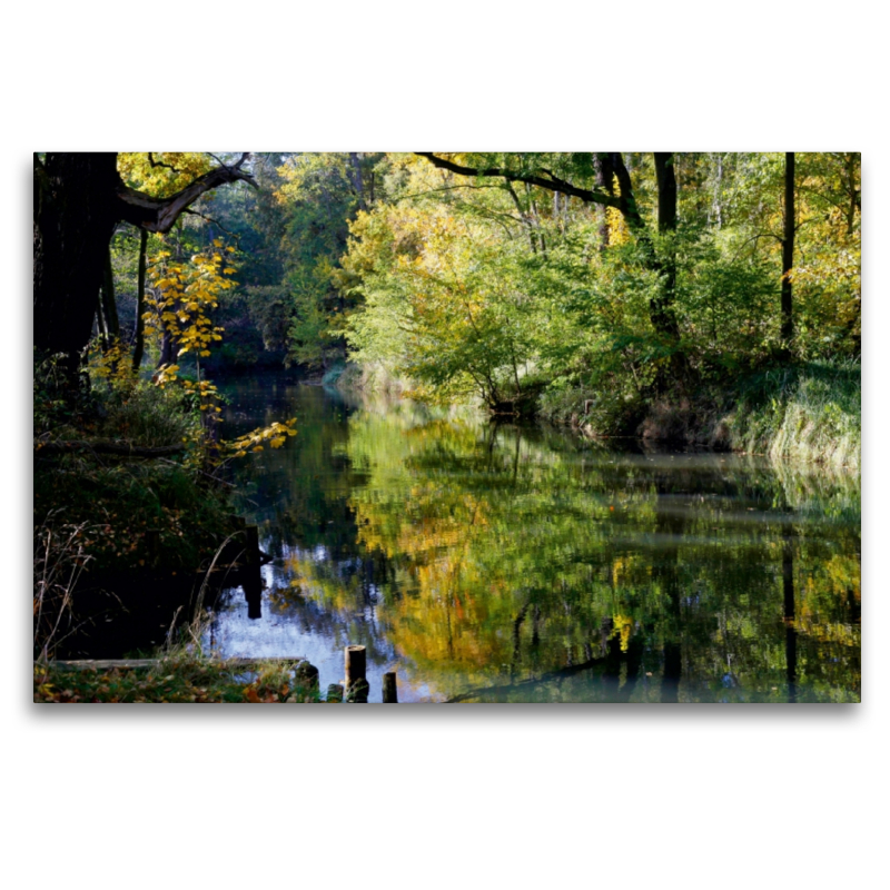 Goldener Oktober am Theodor-Fontane-Weg