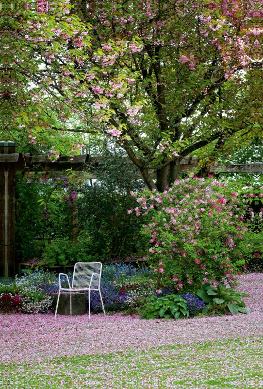 Ruhepause im Botanischen Garten, Augsburg, Deutschland