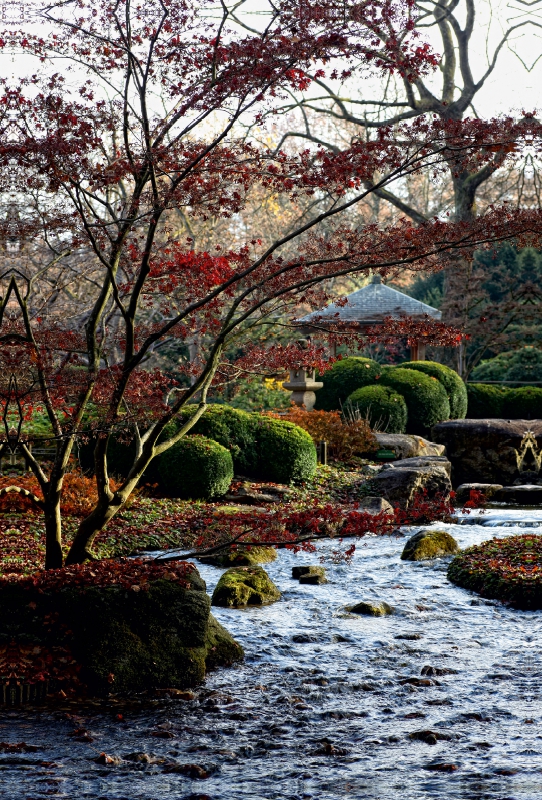 Japanischer Garten, Botanischer Garten Augsburg, Deutschland