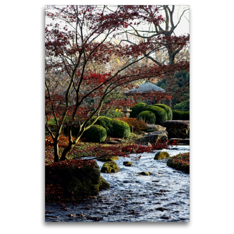 Japanischer Garten, Botanischer Garten Augsburg, Deutschland