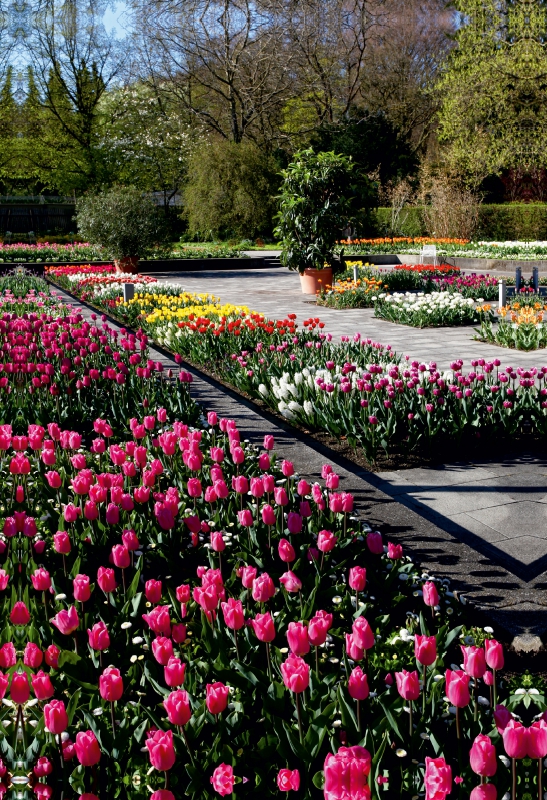 Calvendo Leinwand — Botanischer Garten Augsburg, Deutschland