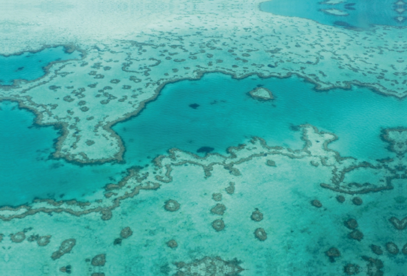 Great Barrier Reef Queensland Australien