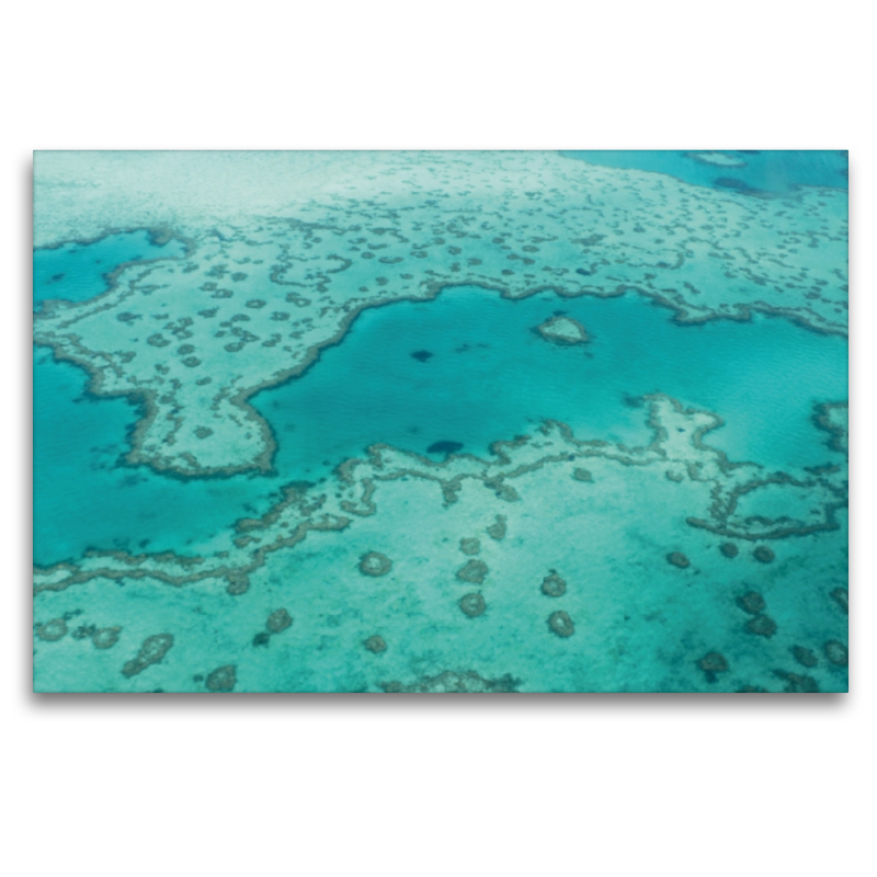 Great Barrier Reef Queensland Australien