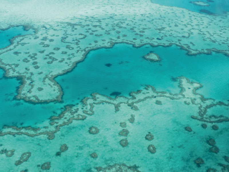 Great Barrier Reef Queensland Australien