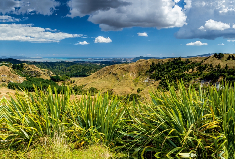 Coromandel Peninsula - Nordinsel Neuseeland