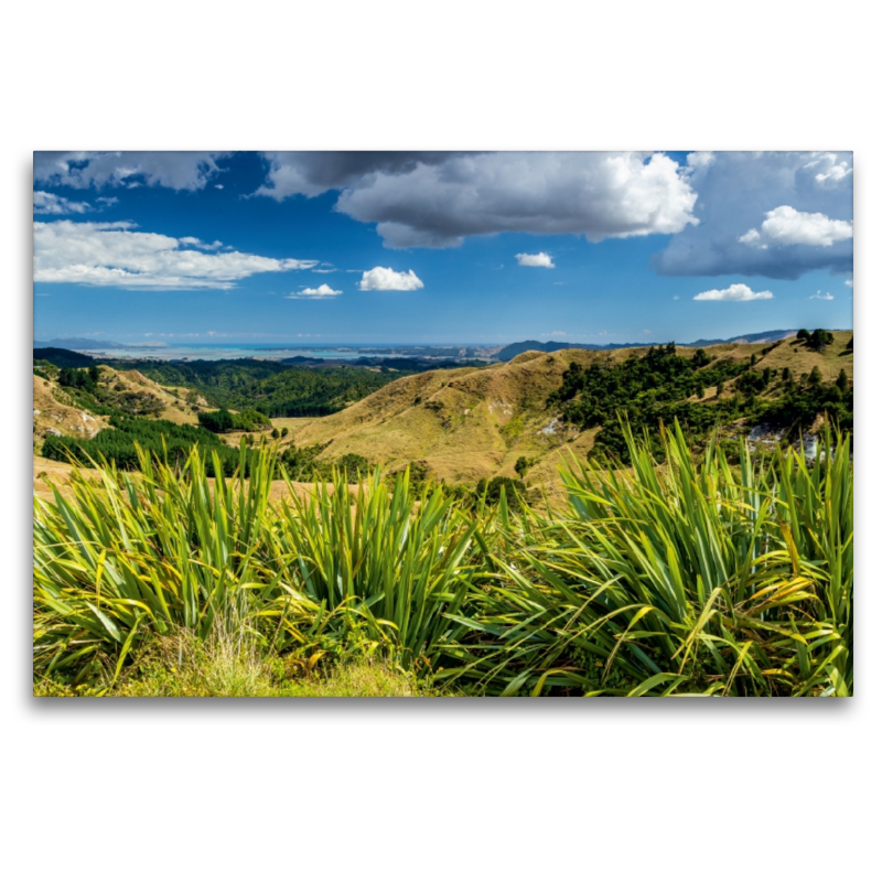 Coromandel Peninsula - Nordinsel Neuseeland