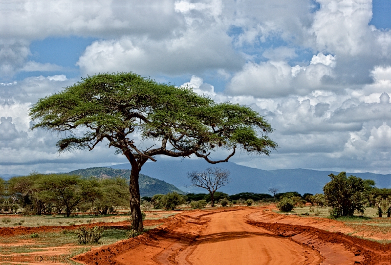 Tsavo Ost Nationalpark