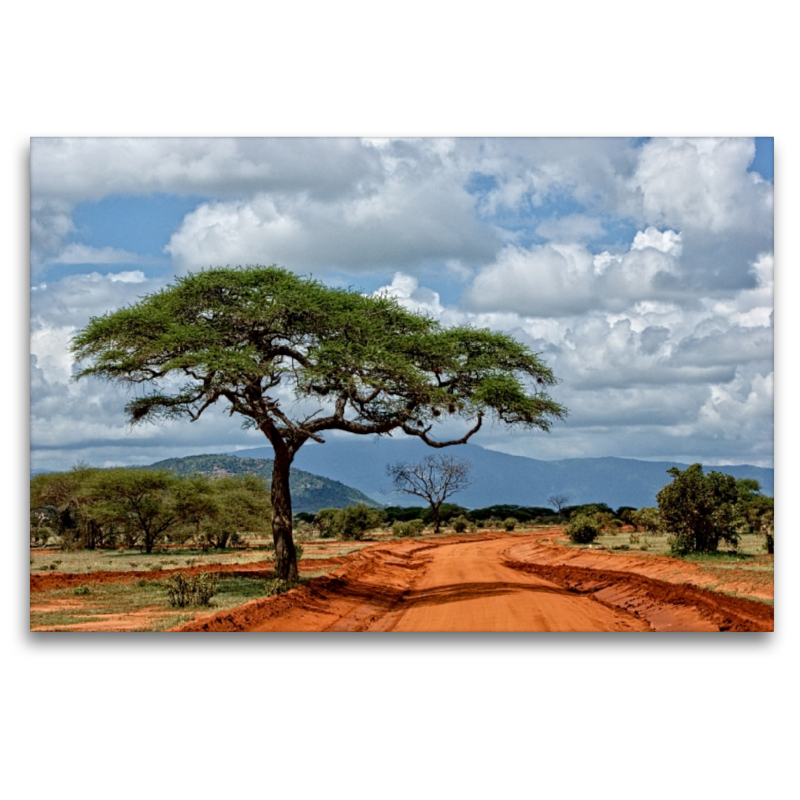 Tsavo Ost Nationalpark