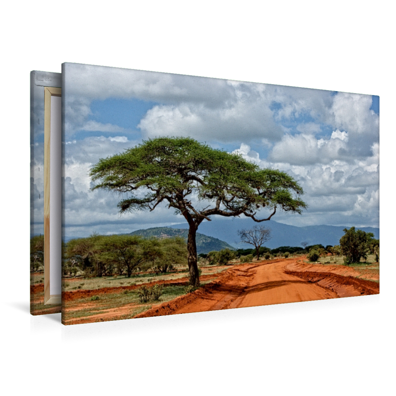 Tsavo Ost Nationalpark