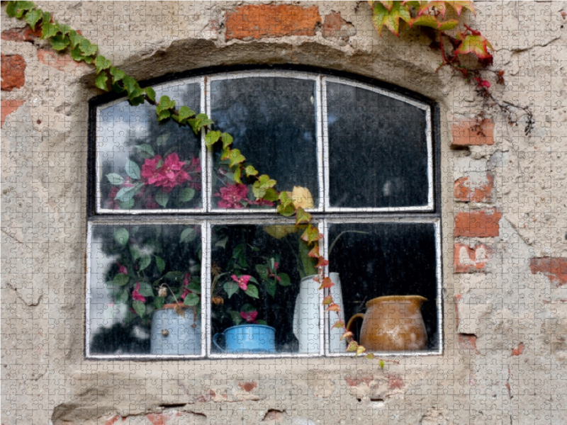 Fenster mit Efeuranken