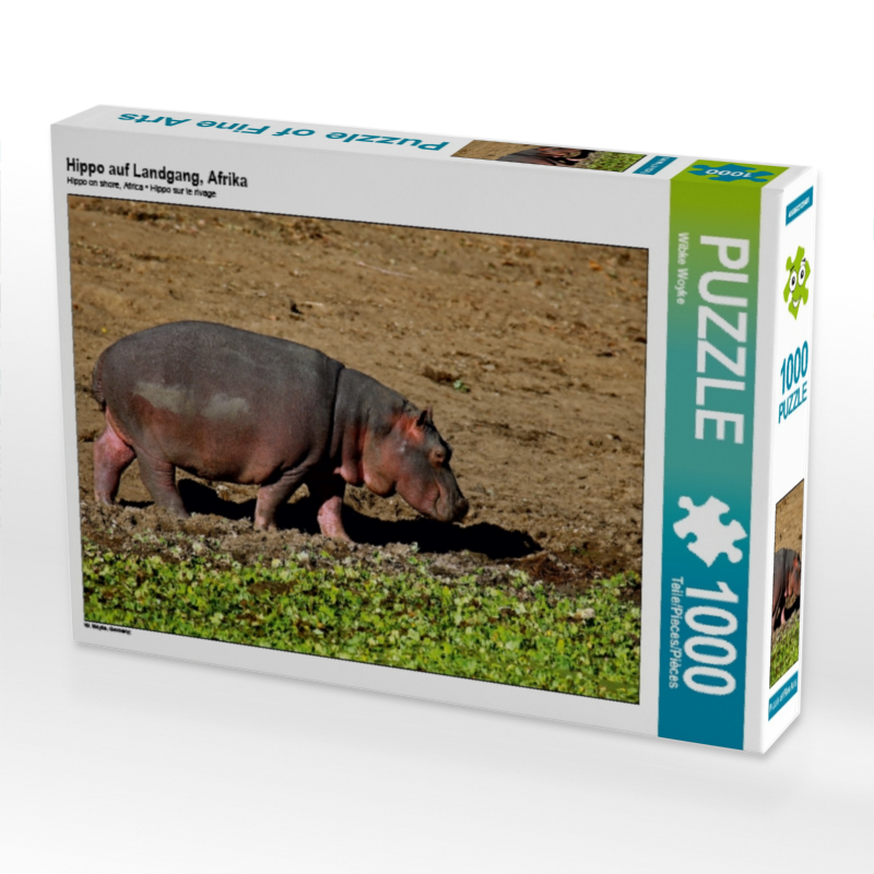 Hippo auf Landgang, Afrika