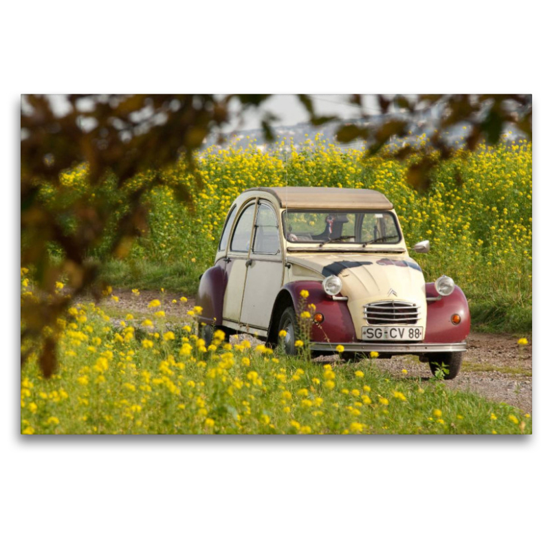 Citroën 2CV Dolly