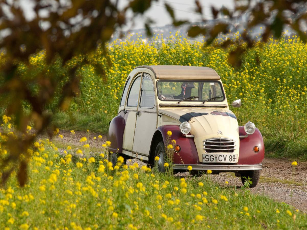 Citroën 2CV Dolly