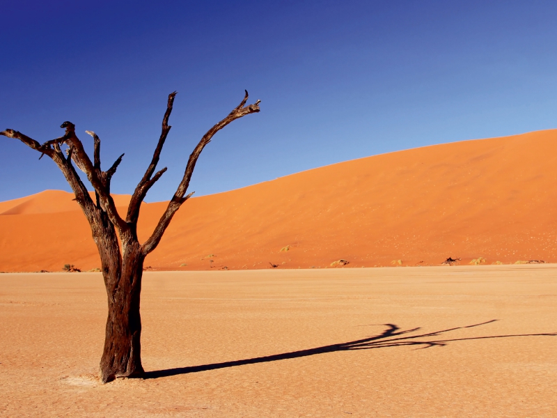 Dead Vlei in Namibia