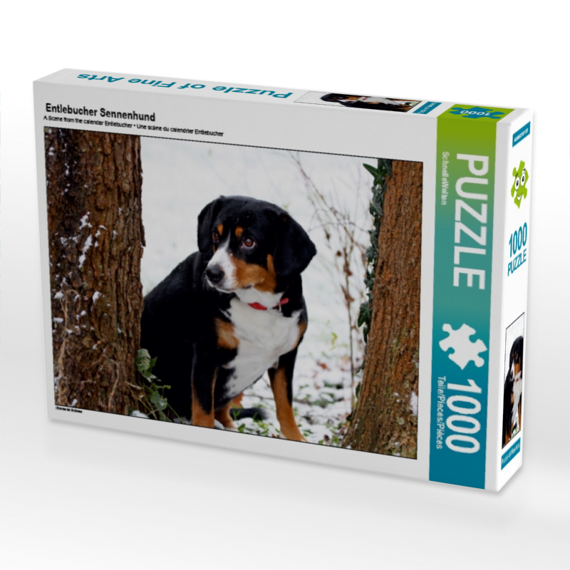 Entlebucher Sennenhund