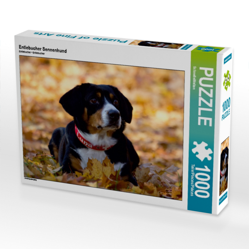 Entlebucher Sennenhund