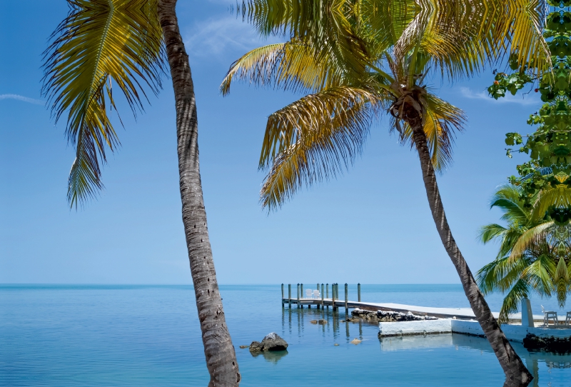 FLORIDA KEYS Palmen & Meerblick