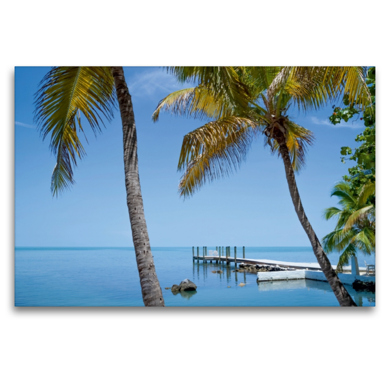 FLORIDA KEYS Palmen & Meerblick