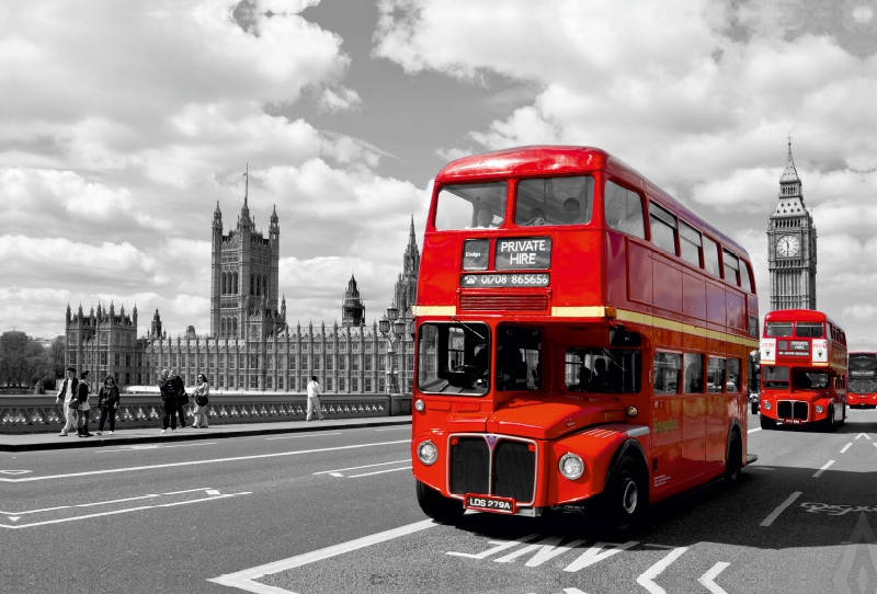 LONDON Houses of Parliament und rote Busse