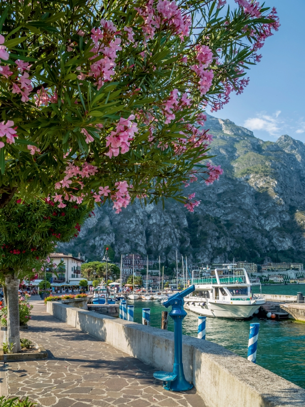 GARDASEE Hafen und Uferpromenade in Limone sul Garda