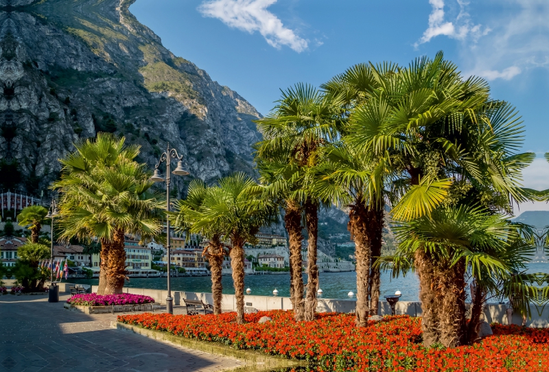 GARDASEE Prächtige Uferpromenade in Limone sul Garda