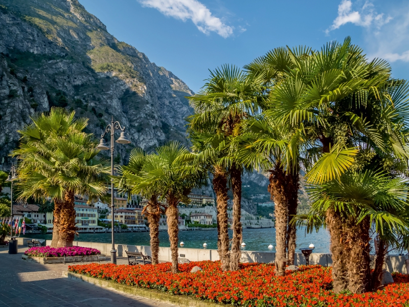 GARDASEE Prächtige Uferpromenade in Limone sul Garda