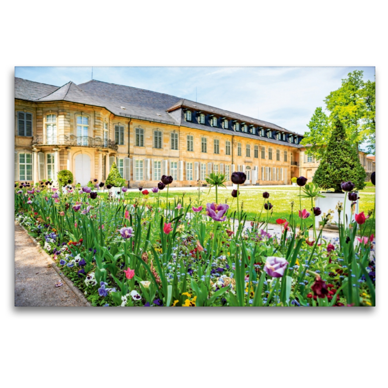 Blumen vor dem Neuen Schloss Bayreuth