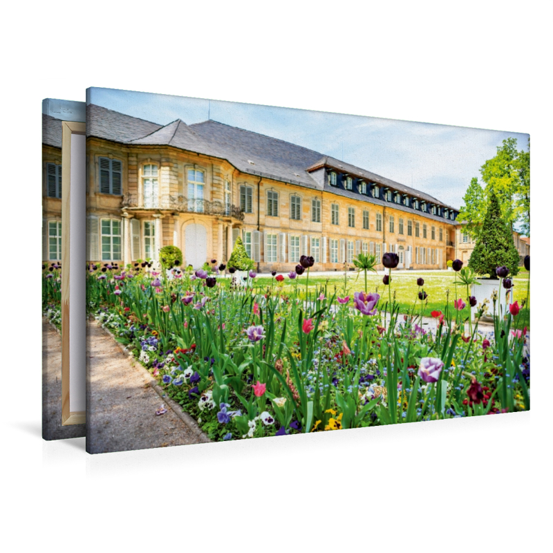 Blumen vor dem Neuen Schloss Bayreuth