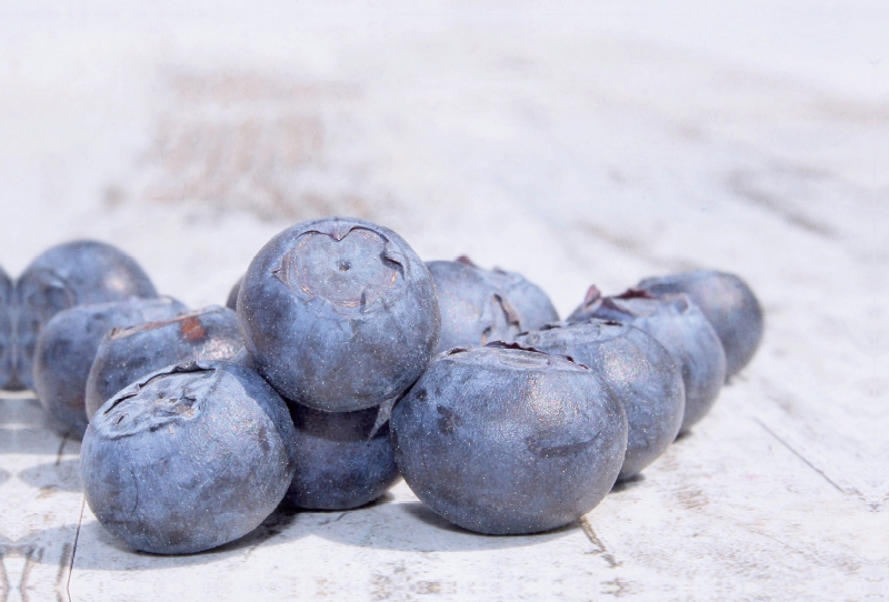 Heidelbeeren Stillleben