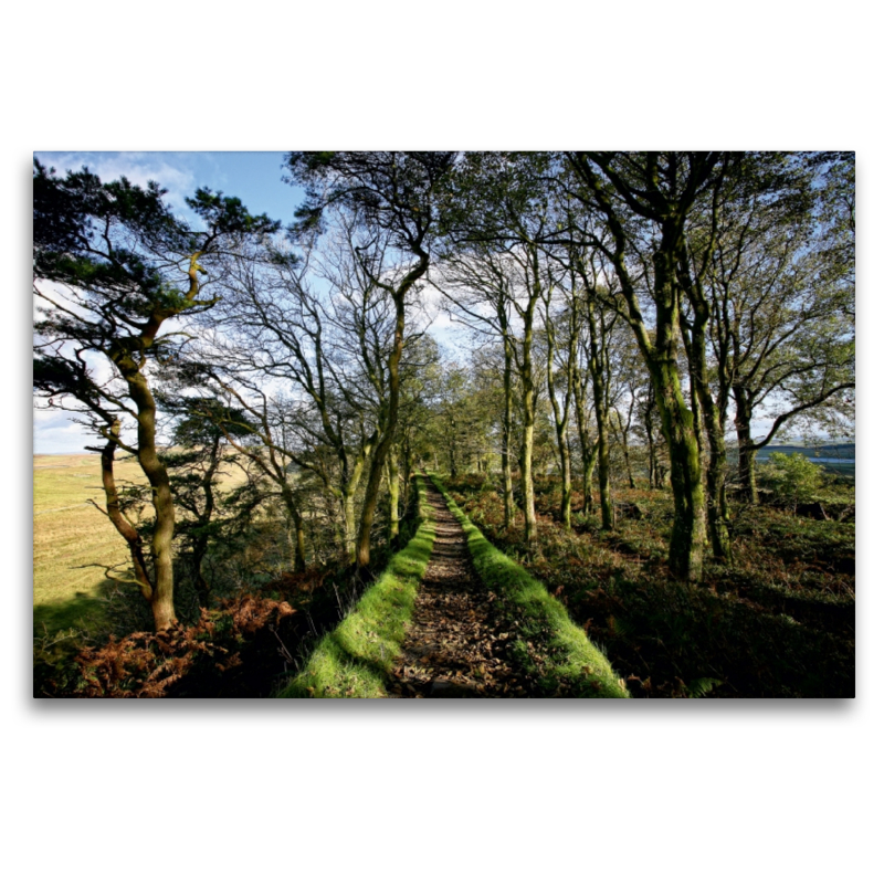 Hadrianswall, Cumbria, Lake District, England