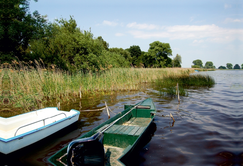 Boote am Ufer vom Hohennauener See