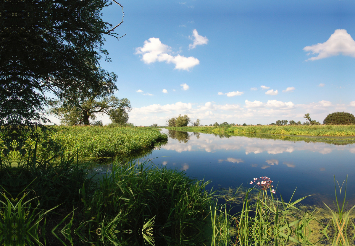 Sommerliches Havelland