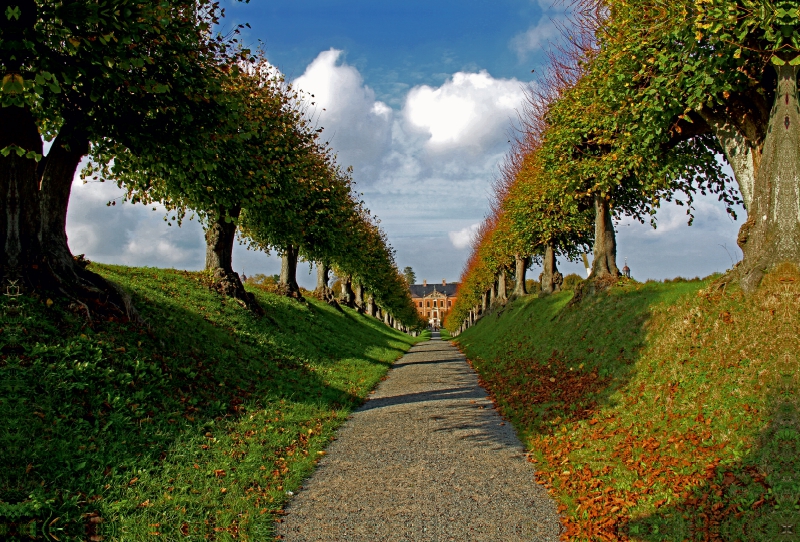 Die Festongallee zum Schloss Bothmer