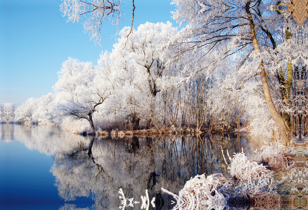 Raureif an der Havel im Havelland