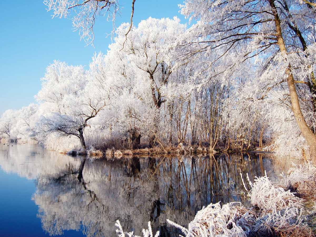 Raureif an der Havel im Havelland