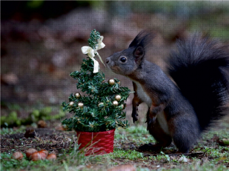 Oh ein Weihnachtsbäumchen nur für mich...