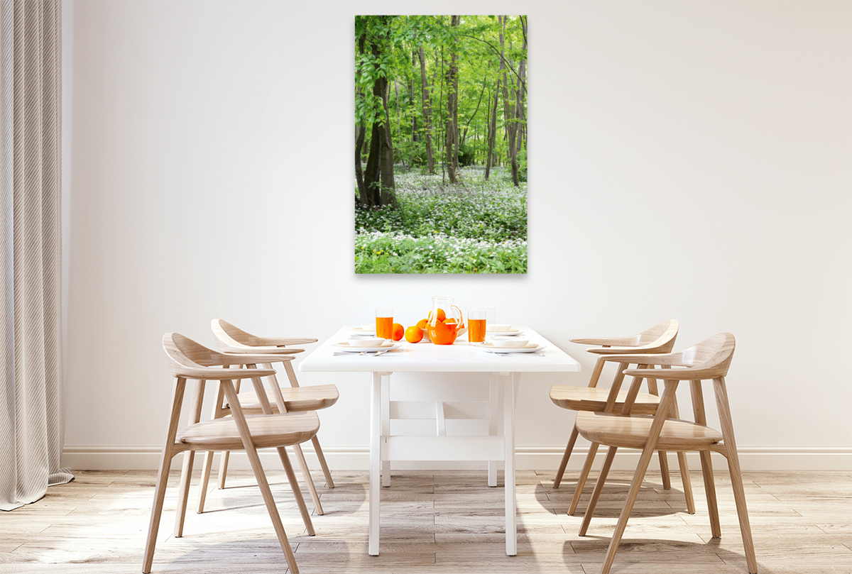 Bärlauchwald. Landschaft im Havelland.