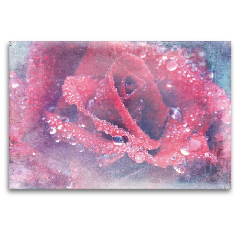 Romantische Rote Rose - Shabby Chic Style