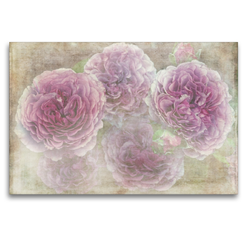 Romantische Rosen - Shabby Chic Style