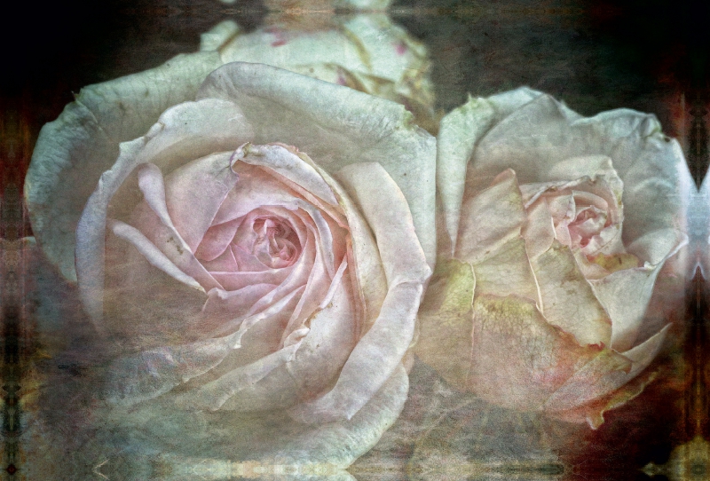 Romantische Rosen - Shabby Chic Style