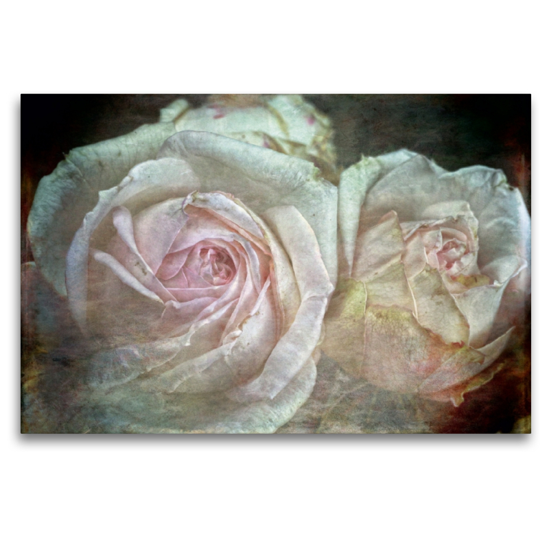 Romantische Rosen - Shabby Chic Style