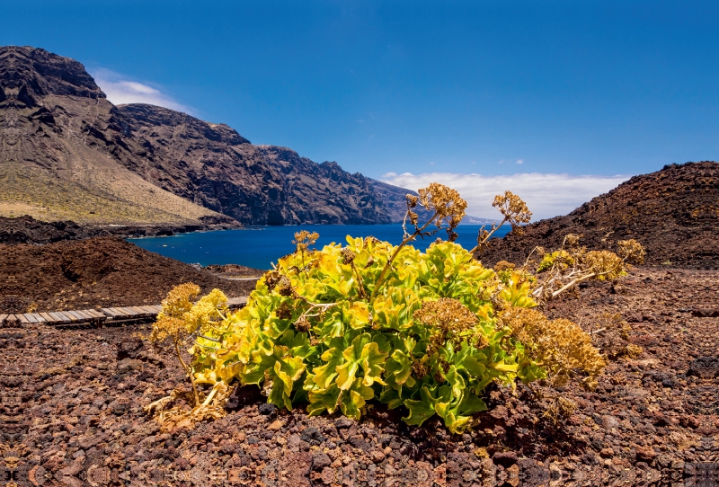 Landschaft auf Teneriffa